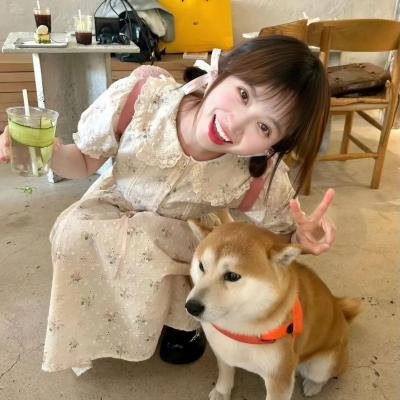 谎言迷宫